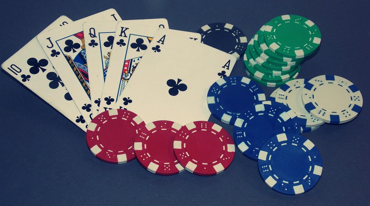 novi bet